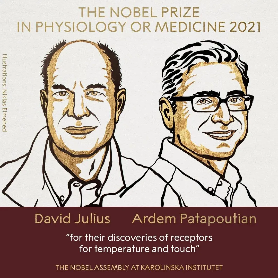 2021年诺贝尔生理学或医学奖揭晓获奖名单